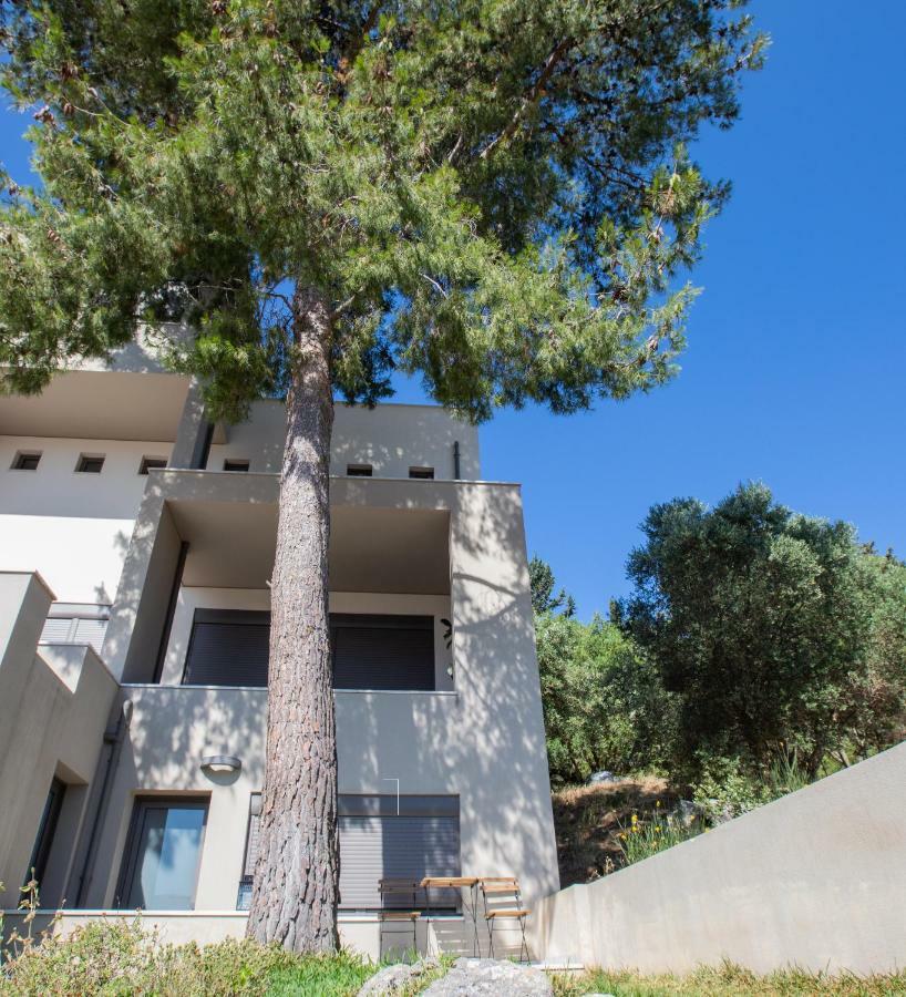 The Pine Flat Lägenhet Argostoli  Exteriör bild
